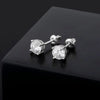 Moissanite Diamond Stud Earrings in White Gold | - The Icetruck